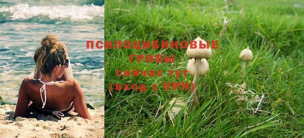 молекула духа Аркадак