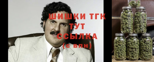 молекула духа Аркадак