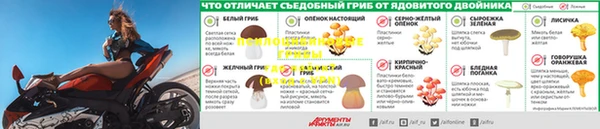 PSILOCYBIN Арсеньев