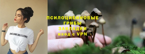 PSILOCYBIN Арсеньев
