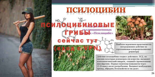 прущая мука Армянск