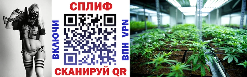где купить наркотик  Богучар  Конопля планчик 